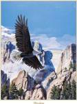 (Freedom) Eagle in Flight by Don Balke