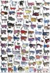 100 Cats and a Mouse by Vittorio Fiorucci