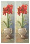 2-Up Amaryllis Vertical by Wendy Russell
