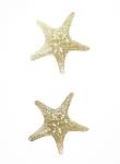 2-Up Gold Foil Starfish I - Metallic Foil by Vision Studios