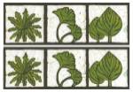 2-Up Verde Botanical II by Andrea Davis