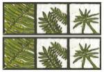 2-Up Verde Botanical III by Andrea Davis