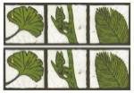 2-Up Verde Botanical IV by Andrea Davis