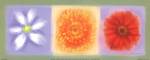 3 Flower Panel by Anthony Morrow