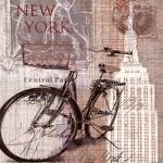 5th Avenue by Carol Robinson