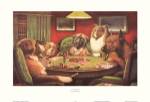 A Bold Bluff by Cassius Marcellus Coolidge