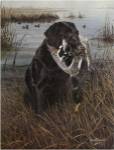 A Friend in the Marsh by Kevin Daniel