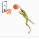 A Frog And His Basketball by DesignPics