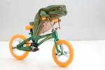 A Frog And His Bicycle by DesignPics