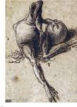 A Frog Sitting on Coins and Holding a Sphere by Jacques De Gheyn