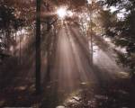 A New Day I by Ann Dahlgren