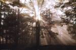 A New Day II by Ann Dahlgren