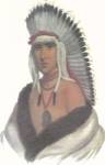 A Pawnee Brave by C.B. King