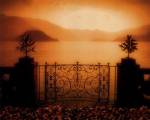 A Place to Dream by M. Ellen Cocose