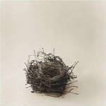 A Round Bed by Ruth Silverman