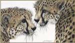 A Special Bond by Jan Henderson