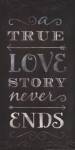 A True Love Story Never Ends by Mollie B.