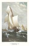 A Winning Yacht by J.D. Davidson