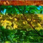 Abstract Leaf Study I by Sisa Jasper