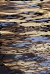 Abstract sunrise reflection on water, Havana Harbor, Havana, Cuba by Adam Jones / Danita Delimont