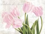 Academie des Fleurs by Jenny Thomlinson