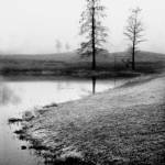 Across The Fog by Harold Silverman