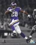 Adrian Peterson 2013 Spotlight Action