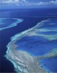 Aerial view of a coastline, Hardy Reef, Great Barrier Reef, Whitsunday Island, Australia
