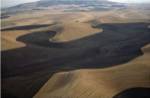 Aerial view of a cultivated landscape, Washington State, USA