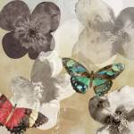 Aflutter II by Aimee Wilson