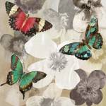 Aflutter III by Aimee Wilson
