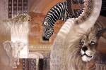 African Colors by Diana Martin