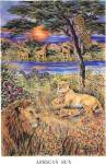 African Sun by Janet Law