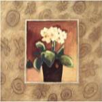 African Violets by Maria Eva