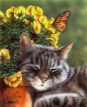 Afternoon Nap by Marilyn Barkhouse