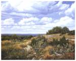 Afternoon Near Blanco by Greg Glowka