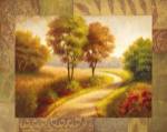 Afternoon Path