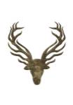 Aged Deer by Jace Grey