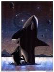 Alan Metz - Orcas in the Sky Size 6x8 by Alan Metz