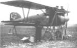 Albatos D.III