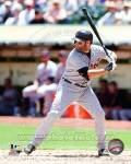 Alex Avila 2014 Action