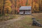 Alex Cole Cabin by Galloimages Online