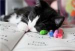 All Work and No Play by Delaney Flanders