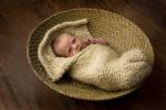Allen Baby In Basket by Tanya Hovey
