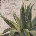 Aloe I by Patricia Pinto