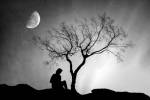 Alone by Ata Alishahi
