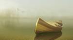 Alone in the Mist 2 by Carlos Casamayor