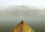 Alone in the Mist 3 by Carlos Casamayor