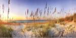 Along the Strand - ovsz by Doug Cavanah