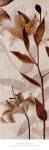 Ambre Antique I by Thea Schrack